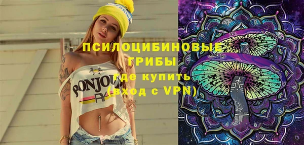 метадон Алексин