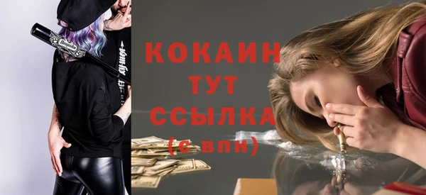 гидра Абаза