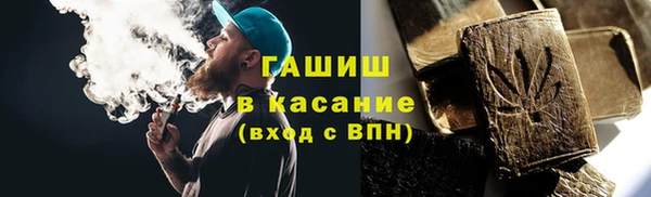 гидра Абаза