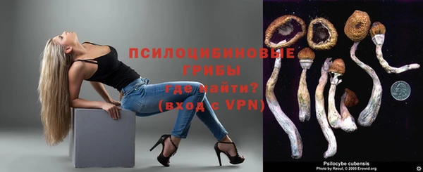 гидра Абаза