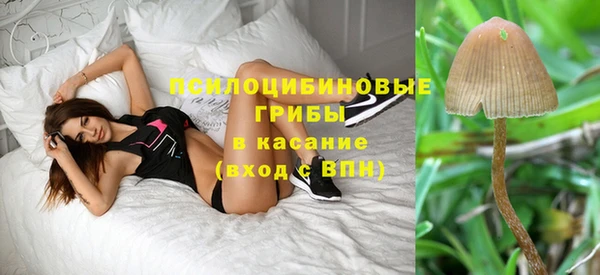 метадон Алексин